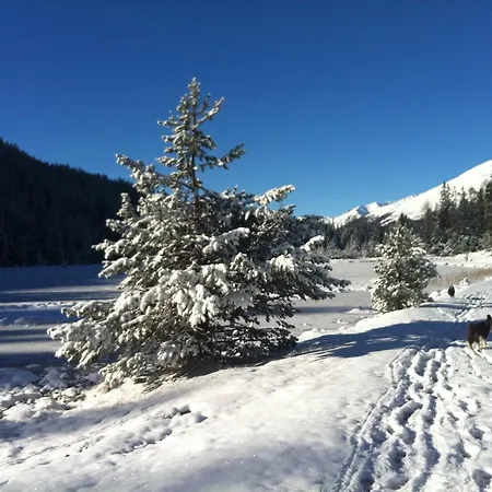 Séjour à la ferme Riatschhof