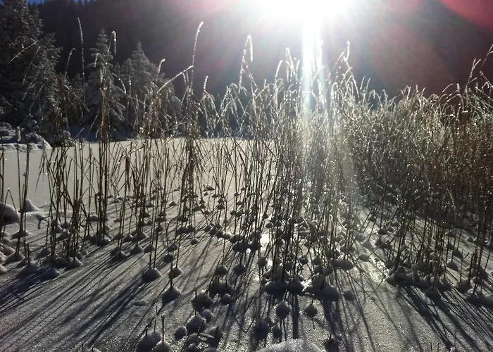 Riatschhof Vakantieboerderij