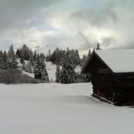Riatschhof *