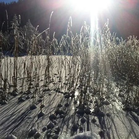 Riatschhof Gospodarstwo agroturystyczne
